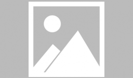 麻豆有什么营养,健康饮食的优质选择